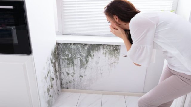 «Εξαιρετικό καθαριστικό»: Αφαιρέστε εύκολα τη μούχλα από τους τοίχους με 1 φυσικό υλικό