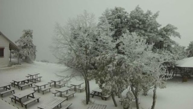 Χιονίζει στην Πάρνηθα: Στα λευκά τα καταφύγια Μπάφι και Φλαμπούρι – Δείτε ζωντανή εικόνα