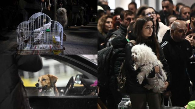Εικόνες «πολέμου» στη Σαντορίνη: Νέος ισχυρός σεισμός 5 Ρίχτερ, το αδιαχώρητο στο λιμάνι – Έχουν φύγει πάνω από 9.000 κάτοικοι του νησιού