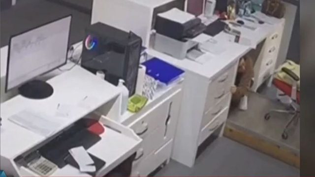 Τρομακτικό βίντεο από την Σαντορίνη: Γυναίκες μπαίνουν έντρομες κάτω από τα γραφεία τους μόλις χτυπούν τα 5,2 Ρίχτερ!