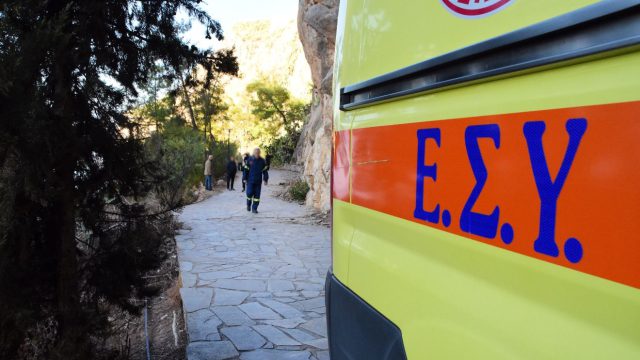 Συναγερμός στο Βόλο: Σκύλος δάγκωσε 9 μηνών βρέφος στο πρόσωπο!
