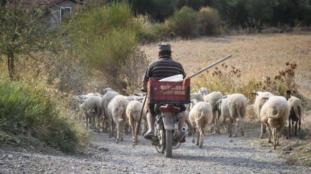 Ένας Πόντιος συναντά ένα βοσκό και του λέει…: Το ανέκδοτο της ημέρας (18/02)
