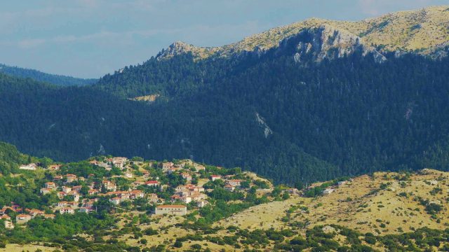 Κρυμμένο στο ελατόδασος: Το «άγνωστο» χωριό που γέννησε τα παλικάρια του Κολοκοτρώνη