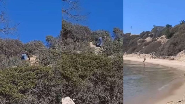«Βρωμόπαππου, τι κάνεις εκεί; Την παίζεις;»: Ηλικιωμένος ματάκιας…αυτοϊκανοποιείται βλέποντας κορίτσια με το μαγιό σε παραλία (video)