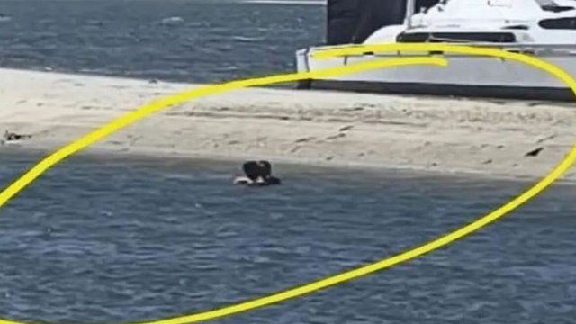 Κανονική παράσταση: Ζευγάρι έκανε έρωτα μέσα σε λίμνη και ζήτησε λεφτά από τους αυτόπτες μάρτυρες!