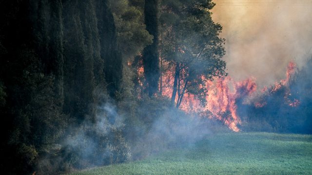 Συναγερμός στη Ζάκυνθο: Φωτιά σε δασική έκταση στο νησί