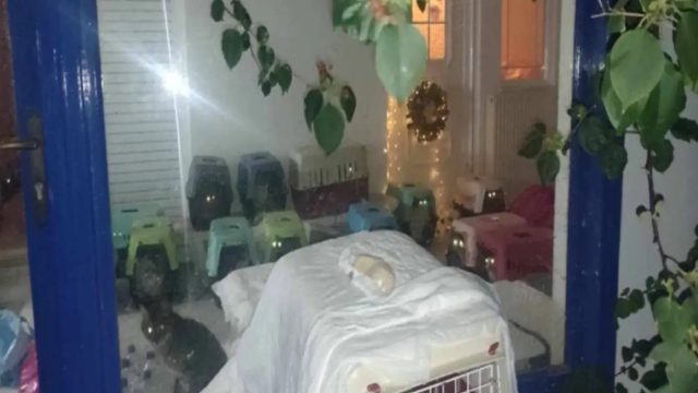 Αδιανόητο σκηνικό στα Εξάρχεια: 66χρονη ζούσε με το πτώμα της μητέρας της και δεκάδες γάτες