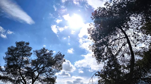 Καιρός σήμερα 10/3: Αρχίζει να… μυρίζει πρόωρα καλοκαίρι – Μέχρι πού θα φτάσει η θερμοκρασία σύμφωνα με Αρναούτογλου και Μαρουσάκη