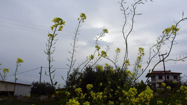 «Σκωτσέζικο ντους» του καιρού: Από τους 32 βαθμούς… στην επιστροφή του χειμώνα – Η εκτίμηση Αρναούτογλου, Καλλιάνου και Μαρουσάκη