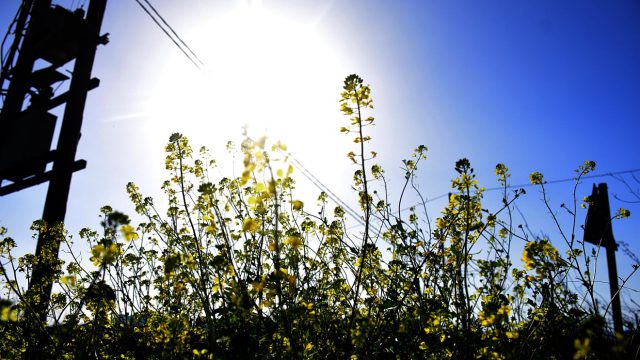 Καιρός σήμερα 20/3: Επιστρέφει ο ήλιος αλλά με δόντια – Η πρόγνωση από Σούζη και Αρναούτογλου