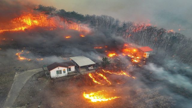 Αναζοπυρώθηκε η φωτιά στη Νότια Κορέα – Μεγάλη μάχη με τις φλόγες