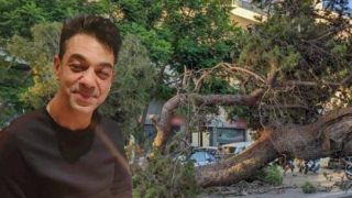 Δικαίωση για τον 51χρονο Παναγιώτη: Αποζημίωση 385.000 στην οικογένεια του πατέρα που καταπλακώθηκε από πεύκο στο Ηράκλειο