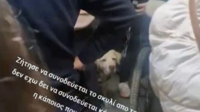 Χάος σε τρένο του ΗΣΑΠ: Κάλεσαν την Αστυνομία λόγω σκύλου – «Ούρλιαζε “βγείτε έξω από τα βαγόνια”»