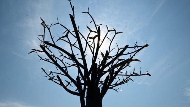 Tο Δέντρο των Ψυχών – Η Αρχή: Tα αποκαλυπτήρια του μνημείου για τα 57 θύματα των Τεμπών
