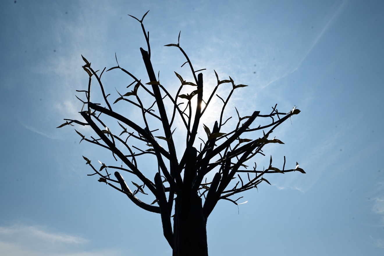 Tο Δέντρο των Ψυχών – Η Αρχή: Tα αποκαλυπτήρια του μνημείου για τα 57 θύματα των Τεμπών