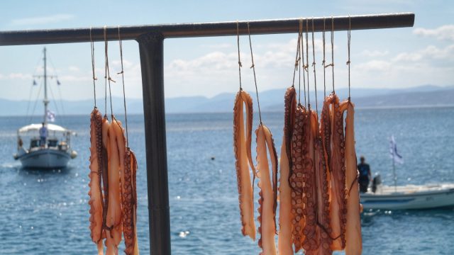 Αγρίνιο: Τι λέει ο 38χρονος που κατάπιε αγκίστρια από χταπόδι – «Πήγε στον οισοφάγο, έγινα μπλε»