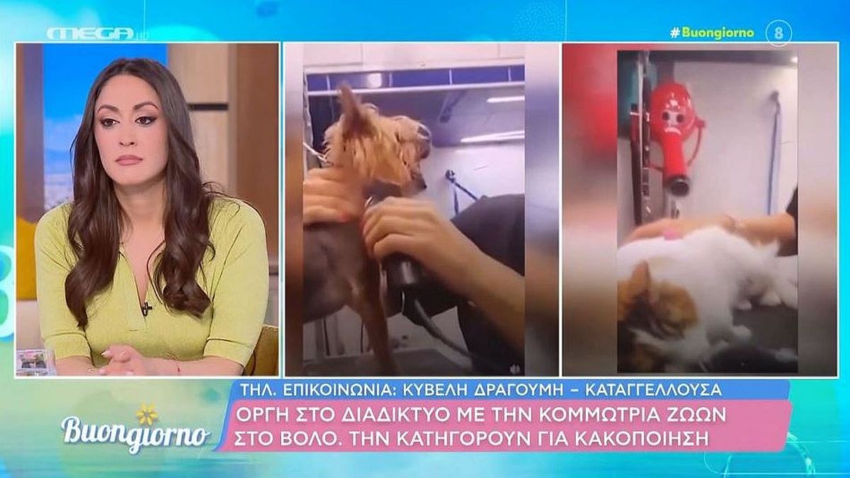 Βόλος: «Μου στέλνουν κατάρες για εμένα και το παιδί μου» – Σπάει την σιωπή του η pet groomer που έχει σηκώσει «κύμα» οργής για κακοποίηση ζώων