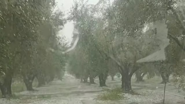 Ισχυρή χαλαζόπτωση έπληξε περιοχές της Αιτωλοακαρνανίας – Μεγάλες ζημιές σε καλλιέργειες