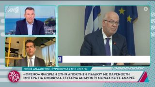 Ο Αναδιώτης «ξαναχτυπά» για την παρένθετη μητρότητα στα ομόφυλα ζευγάρια: Δεν θέλω η μητρότητα να εργαλειοποιηθεί