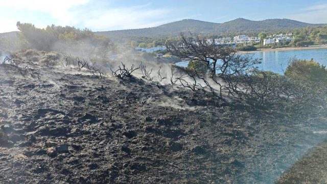 Φωτιά στο Σούνιο – Κινητοποιήθηκε η Πυροσβεστική