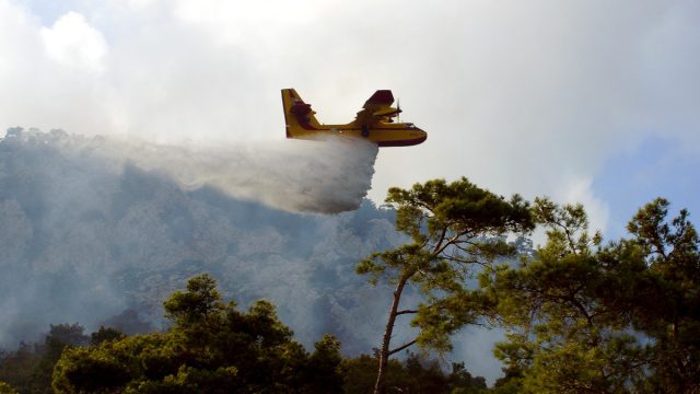 Συναγερμός στην Πυροσβεστική: Πυρκαγιά στην Κεφαλονιά – Μήνυμα από το 112