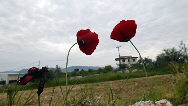 Καιρός: Άρωμα… τσίκνας και καλοκαιριού το Πάσχα – Η εκτίμηση Αρναούτογλου και Μαρουσάκη