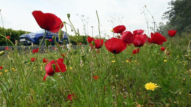 Καιρός σήμερα 16/4: Ενισχυμένοι άνεμοι έως 8 μποφόρ και άνοδος της θερμοκρασίας – Τι λένε Αρνιακός και Μαρουσάκης