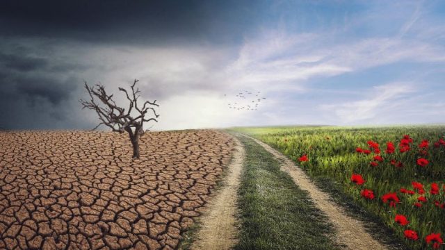 Η Ευρώπη μετατρέπεται σε καμίνι: Η Γηραιά Ήπειρος θερμαίνεται με διπλάσιο ρυθμό σε σύγκριση με τον υπόλοιπο πλανήτη