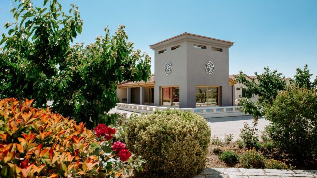 Κτήμα Τσέλεπου: Η οινική μαεστρία του Μοσχοφίλερου