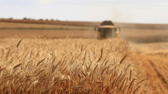«Ανάσα» από τον ΟΠΕΚΕΠΕ: 120 εκατ. ευρώ στους λογαριασμούς 110.000 παραγωγών