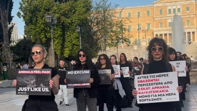 «Η σφαγή δεν είναι αγάπη»: Διαμαρτυρία από vegans στο Σύνταγμα κατά του σουβλίσματος αρνιών το Πάσχα