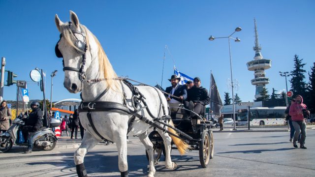 Θρίλερ στη Θεσσαλονίκη: Άλογο δάγκωσε 9χρονο στο πρόσωπο σε σχολική εκδρομή