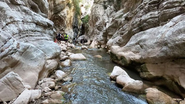 Νέδα: Πατέρας και γιος έπεσαν σε χαράδρα – Μεγάλη επιχείρηση διάσωσης σε εξέλιξη