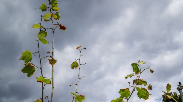 Καιρός: Έρχεται… η Ines – Έκτακτο δελτίο για καταιγίδες, χαλαζοπτώσεις και ισχυρούς ανέμους
