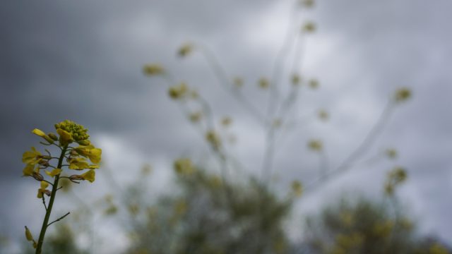 Καιρός σήμερα 11/5: Ο Μάιος αλλάζει πρόσωπο! Τι λένε Αρνιακός και Μαρουσάκης