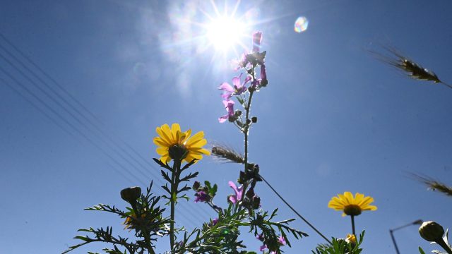 Καιρός σήμερα 20/5: Ηλιόλουστη Τρίτη και ζέστη – Η εκτίμηση από Αρνιακό και Αρναούτογλου
