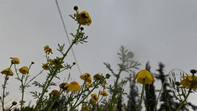 Ισχυρές καταιγίδες στην Αττική: Πού χτυπά τώρα η κακοκαιρία, έντονα φαινόμενα