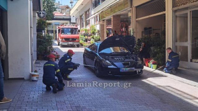 Λαμία: Οδηγός εντόπισε φίδι ενός μέτρου στο αυτοκίνητό του