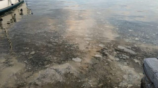 Αποπνικτική δυσοσμία λόγω θαλάσσιας ρύπανσης στο λιμάνι του Βόλου