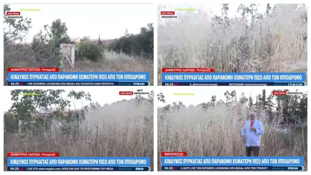 Εικόνες ντροπής στο Μαρκόπουλο: Αυτοψία στα ακαθάριστα οικόπεδα