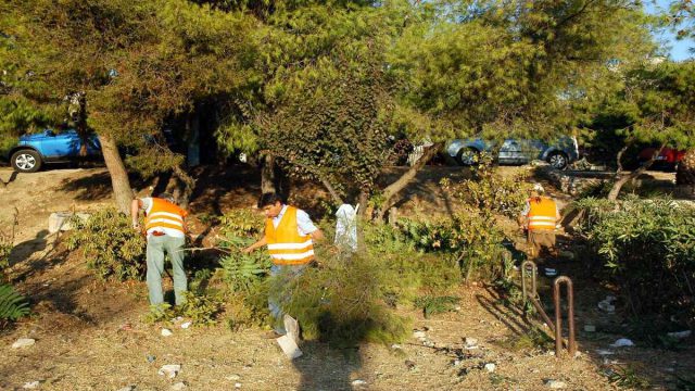 Ρεκόρ δηλώσεων για καθαρισμούς οικοπέδων: Περισσότερες από 82.000 μέσα σε δέκα ημέρες