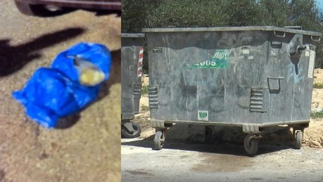 «Γνωρίζονταν χρόνια, ήταν συμμαθήτριες, άλλαξε φύλο ο σύζυγος και παντρεύτηκαν»: Σοκάρουν οι αποκαλύψεις για την εγκατάλειψη βρέφους σε κάδο στο Ηράκλειο