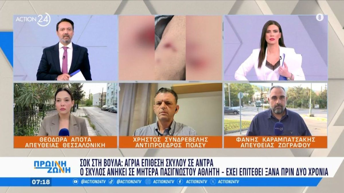 Σοκ στη Βούλα: Σκύλος πασίγνωστου αθλητή επιτέθηκε άγρια σε περαστικό – «Γιατί πέρασες από εκεί;» είπαν στον τραυματία