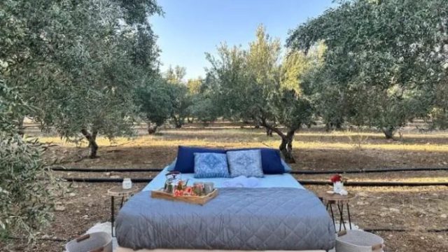 Ξέφυγαν στη Κρήτη: Τώρα νοικιάζουν κρεβάτι… μέσα στις ελιές