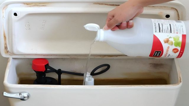 Πήρε ξύδι και το έριξε στο καζανάκι της τουαλέτας – Μόλις δεις το αποτέλεσμα θα τρέξεις να το κάνεις κι εσύ