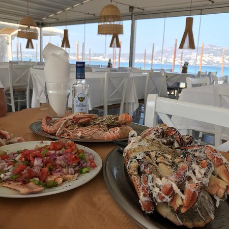 Ψαροπούλα Πόρτο Ράφτη