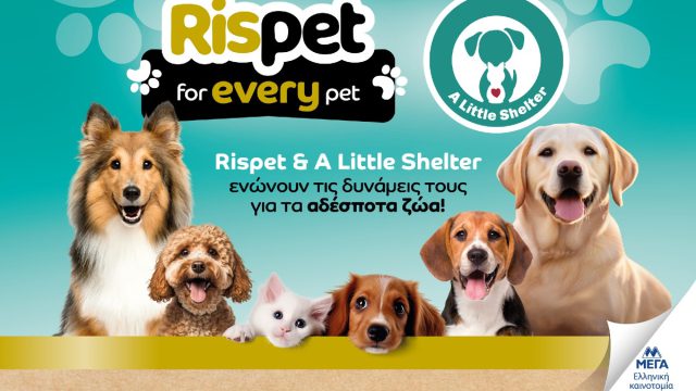 Rispet & A Little Shelter ενώνουν τις δυνάμεις τους για τα αδέσποτα ζώα