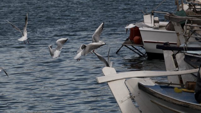 «Τον απειλούσαν στα social media, έκοψε τις φλέβες του»: Θρίλερ με το θάνατο του 38χρονου ναυτικού στον Άλιμο