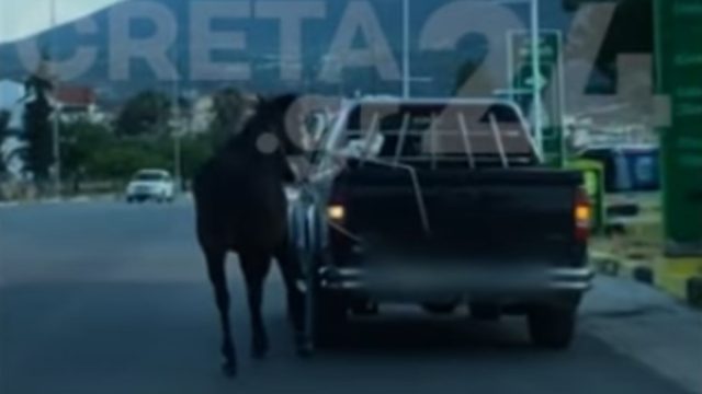 Εικόνες ντροπής στο Hράκλειο: Οδηγός έδεσε άλογο με σχοινί και το έσερνε με αγροτικό