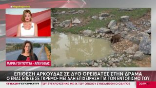 «Είχαν σπρέι πιπεριού και το χρησιμοποίησαν»: Συνεχίζονται οι έρευνες για τον ορειβάτη που έπεσε σε χαράδρα μετά από επίθεση αρκούδας